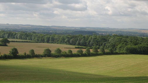 Arable fields at Wimpole